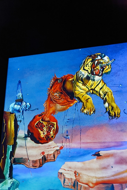 Bassins de lumières-Dali-025